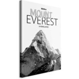 Artgeist Slika Na Platnu Mount Everest Cene