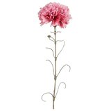 Mica Decorations Umetna roža Nagelj (66 cm, Plastika) Cene
