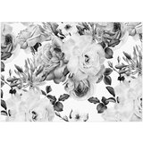  Samoljepljiva foto tapeta - Sentimental Garden (Black and White) 343x245 | shoptok.hr