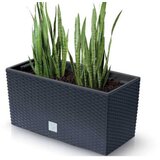  Rato case c600 saksija ( 5052 ) | ePonuda.com