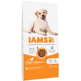  10 + 2 gratis! IAMS suha pasja hrana 12 kg - Advanced Nutrition Adult Large Dog s piščancem | shoptok.hr