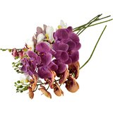 Mondex cvet umetni Viridis Storczyk 85cm bela 1 kos, (5000329494) | Shoptok.si