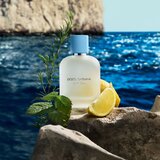 Dolce & Gabbana Light Blue New Pour Homme toaletna voda za moške 200 ml | Shoptok.si