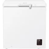 Ledenica FH20E6W5