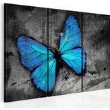  Slika - The study of butterfly - triptych 90x60 Cijene
