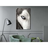  Slika - Dog's Look (1 Part) Vertical 60x90 | shoptok.hr