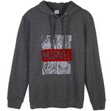 Marvel HOODIE COTTON BRUSHED | ePonuda.com