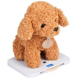  Lesena veterinarska klinika | Shoptok.si