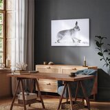  Slika - Hare (1 Part) Wide 30x20 Standard | shoptok.hr