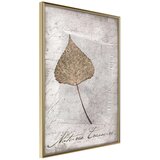  Poster - Dried Leaf 40x60 | shoptok.hr