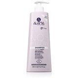 Alama professional No Yellow šampon proti rumenim tonom 500 ml | Shoptok.si