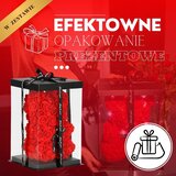springos medvjedić od ruža s mašnom 22 cm u poklon kutiji, crveno-crni | shoptok.hr