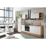 XORA izvlečna omara madeira, bela, hrast | Shoptok.si