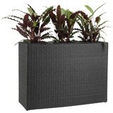 Olimp Sport Saksija Blackshine | ePonuda.com