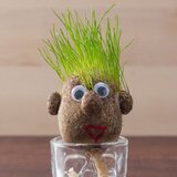  Glava s rastućom kosom | shoptok.hr