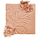 Wet N Wild megaglo Hajlajter, E321B Precious petals | ePonuda.com