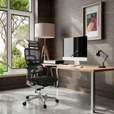 MID.YOU Pisarniški Stol Ergohuman Gen2, Črna | Shoptok.si