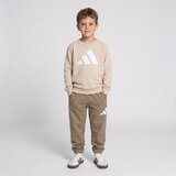 Adidas Trenirka komplet Essentials Joggers Set Kids Kostanjeva | Shoptok.si