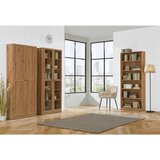 CARRYHOME REGAL | Shoptok.si
