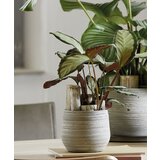 SK Saksija Ravenna krem 18 cm Cene