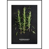 Styler Plakat v okvirju 50x70 cm Rosemary - Styler Cene