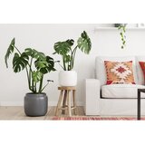 Artevasi keramičen ročno poslikan cvetlični lonec ø 26 cm astrea – | Shoptok.si