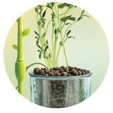  Igra Znanost Clementoni CLEMENTONI | shoptok.hr
