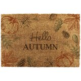 Artsy Doormats Predpražnik iz kokosovih vlaken 40x60 cm Hello Autumn – | Shoptok.si