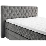 Modern Living Postelja Boxspring Carmen, Siva, 160x200 | Shoptok.si