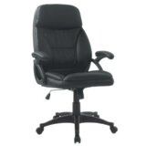  kancelarijska stolica black 65x70x101-111cm ( 1216 ) Cene