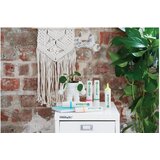 Signir 2-5mm ecoline edding 24 plavi | Shoptok.si
