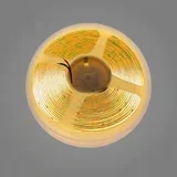 COB Led traka 24v 10m