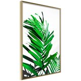  Poster - Emerald Palm 40x60 Cijene