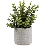 Umetna rastlina (višina 33,5 cm) Succulent –