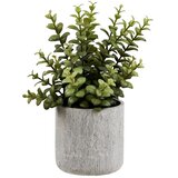 House Nordic Umjetna biljka (visina 33,5 cm) Succulent – Cijene