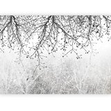 Artgeist FOTOTAPETA | Shoptok.si