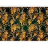  Foto tapeta - Golden peacock feathers - solid background with bird pattern on green background 100x70 | shoptok.hr