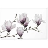  Slika - Painted Magnolias (1 Part) Wide 60x40 | shoptok.hr