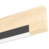 Eglo 99294 - led zidno svetlo camacho LED/9,6W/230V | Eponuda.com