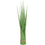 Ambia Home OKRASNA TRAVA | Shoptok.si