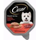 MEGA pakiranje Cesar pladnji 14 x 150 g - Klasika s sočno govedino in jetri | shoptok.hr