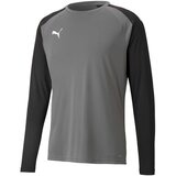 Puma Majice & Polo majice Teampacer Gk Ls Jersey Siva Cene