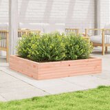  Vrtno cvetlično korito 110x110x23 cm trden les douglas, (21266373) | Shoptok.si
