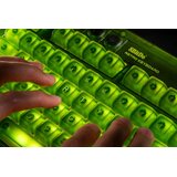 8BitDo Bežična tastatura Retro 87/mehanička/RGB/XBOX Green + Dual Super Buttons | Eponuda.com