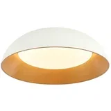 LED plafonska lampa FK2005-66C WH