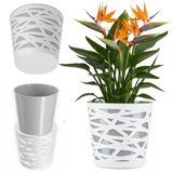 KADAX Vložek za cvetlični lonec iz plastike za rože in rastline 15 cm siv, (5000353243) | Shoptok.si