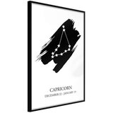  Poster - Zodiac: Capricorn I 40x60 | shoptok.hr