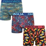 Gianvaglia 3PACK men's boxers multicolor (GVG-5506)