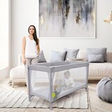 Asalvo krevetac speed elefant ( 15914 ) | ePonuda.com
