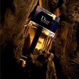 Christian Dior Dior Homme 2020 toaletna voda 100 ml za moške | Shoptok.si